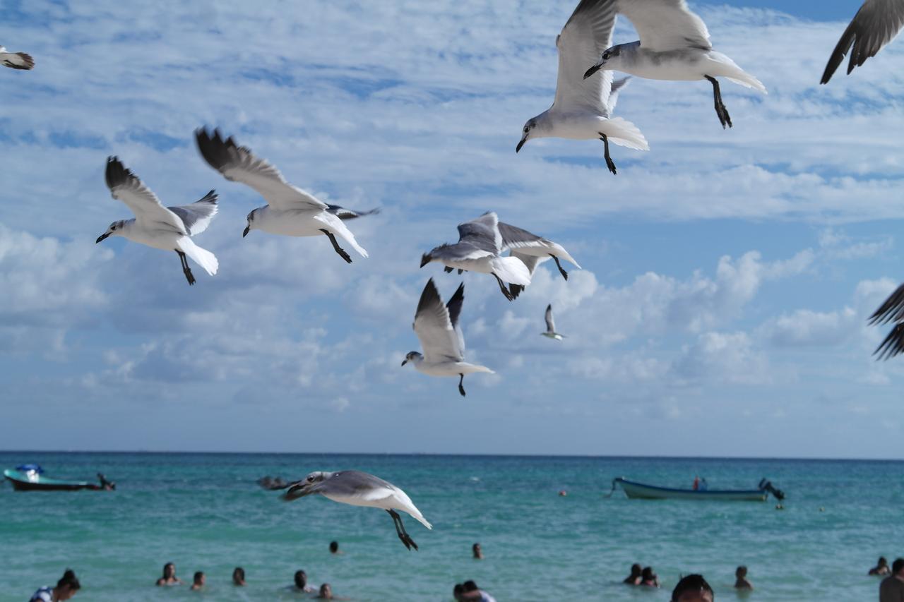 Casa Tucan Hotel Playa del Carmen Ngoại thất bức ảnh
