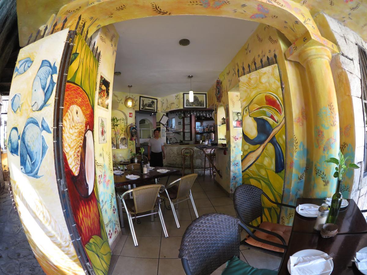 Casa Tucan Hotel Playa del Carmen Ngoại thất bức ảnh