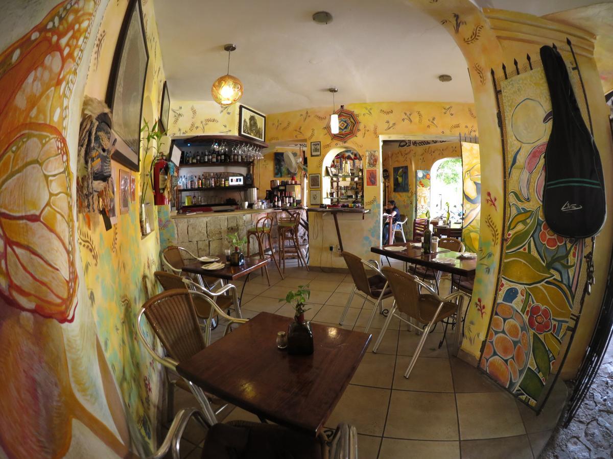 Casa Tucan Hotel Playa del Carmen Ngoại thất bức ảnh