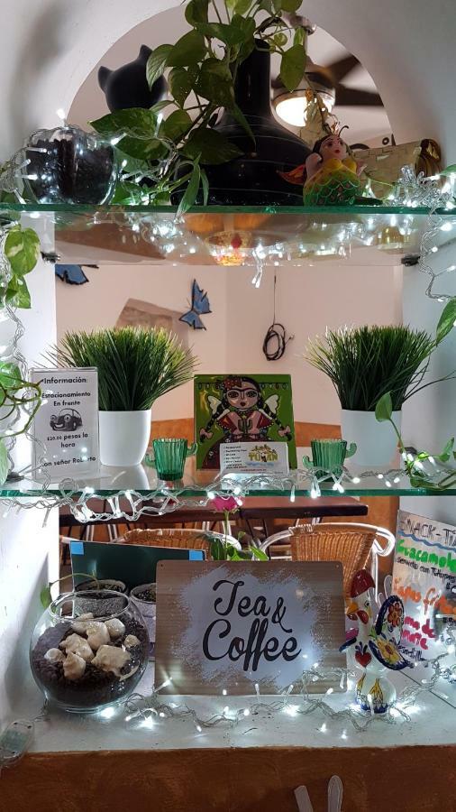Casa Tucan Hotel Playa del Carmen Ngoại thất bức ảnh